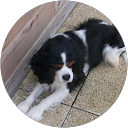 Photo de profil de bernard dozon